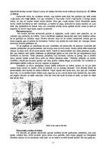 Referāts 'Senlatviešu kultūra', 11.