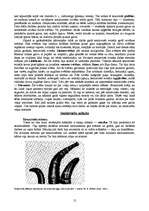 Referāts 'Senlatviešu kultūra', 12.