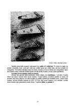 Referāts 'Senlatviešu kultūra', 14.