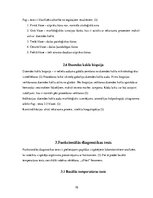 Referāts 'Agrīnas diagnostikas metodes ginekoloģisko slimību gadījumos', 10.