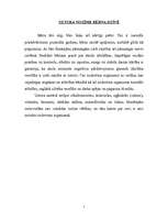 Referāts 'Skolēnu veselīgs dzīvesveids', 5.