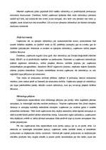 Referāts 'Tirgvedība I', 9.