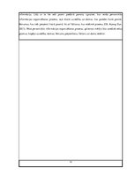 Diplomdarbs 'Personiskās elektroniskās informācijas organizēšanas paradumi', 16.