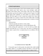 Diplomdarbs 'Personiskās elektroniskās informācijas organizēšanas paradumi', 17.