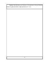 Diplomdarbs 'Personiskās elektroniskās informācijas organizēšanas paradumi', 19.