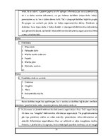 Diplomdarbs 'Personiskās elektroniskās informācijas organizēšanas paradumi', 33.