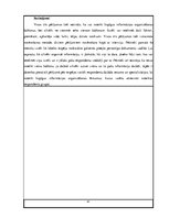 Diplomdarbs 'Personiskās elektroniskās informācijas organizēšanas paradumi', 41.