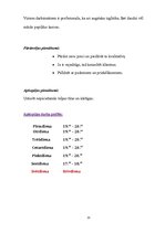 Biznesa plāns 'Biznesa plāns vakartērpu salonam', 13.