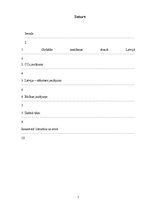 Referāts 'Laika jautājums', 1.