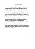 Paraugs 'Motivācijas vēstule', 1.