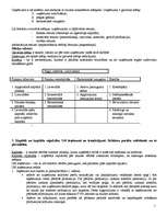 Konspekts 'Uzņēmējdarbības finanses', 2.