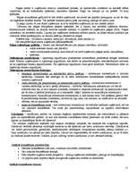 Konspekts 'Uzņēmējdarbības finanses', 13.