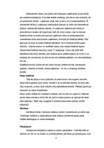 Referāts 'Priekšnoteikumi labam biznesa sākumam un tā attīstībai', 16.