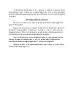 Referāts 'Gunars Janovskis "Sōla"', 4.