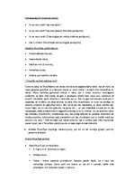 Konspekts 'Filosofija', 3.