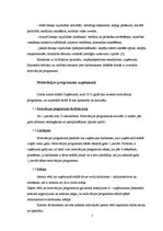 Referāts 'Motivācijas programma uzņēmumā', 5.