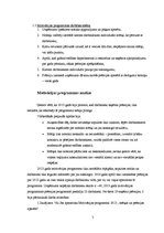 Referāts 'Motivācijas programma uzņēmumā', 7.