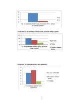Referāts 'Motivācijas programma uzņēmumā', 8.