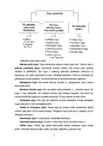 Referāts 'Pieprasījuma un piedāvājuma teorijas pamati', 5.