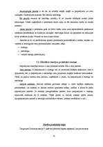 Referāts 'Pieprasījuma un piedāvājuma teorijas pamati', 20.