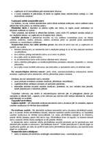 Konspekts 'Starptautiskie grāmatvedības standarti', 17.