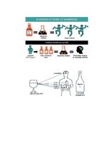 Eseja 'Etilspirta negatīvā ietekme uz cilvēka organismu', 3.