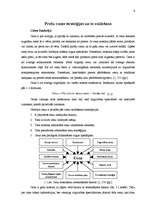 Referāts 'Preču cenu stratēģijas uzņēmumā "RIMI"', 6.