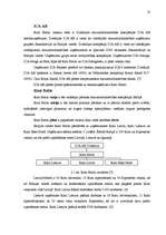 Referāts 'Preču cenu stratēģijas uzņēmumā "RIMI"', 18.