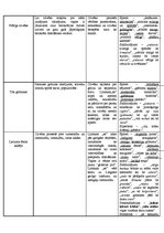 Konspekts 'Dzejoļu raksturojums', 2.