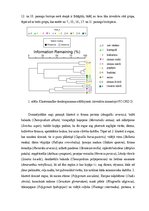 Referāts 'Reģionu floras un faunas līdzības koeficienti', 4.