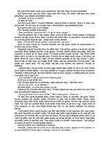 Eseja 'Feminisms A.Brigaderes pasakā "Mare"', 3.