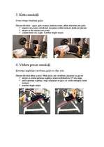 Konspekts 'Sporta vispārattīstošie vingrinājumi', 4.