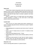 Paraugs 'Socioloģiskais pētījums', 1.