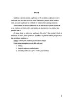 Referāts 'Preču reklāmas pilnveidošanas iespējas uzņēmumā SIA "Ilva"', 3.