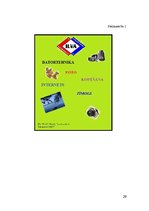 Referāts 'Preču reklāmas pilnveidošanas iespējas uzņēmumā SIA "Ilva"', 29.