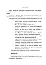 Konspekts 'Pētījuma veikšanas process', 1.