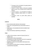 Konspekts 'Pētījuma veikšanas process', 2.