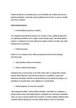 Konspekts 'Pētījuma veikšanas process', 4.