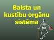 Prezentācija 'Balsta un kustību orgānu sistēma', 1.