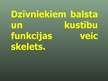 Prezentācija 'Balsta un kustību orgānu sistēma', 3.