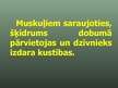 Prezentācija 'Balsta un kustību orgānu sistēma', 5.