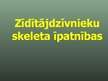 Prezentācija 'Balsta un kustību orgānu sistēma', 11.