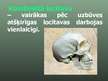 Prezentācija 'Balsta un kustību orgānu sistēma', 37.