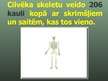 Prezentācija 'Balsta un kustību orgānu sistēma', 38.