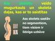 Prezentācija 'Balsta un kustību orgānu sistēma', 39.