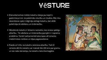 Prezentācija 'Kokaīns', 3.