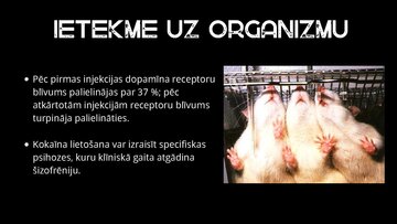 Prezentācija 'Kokaīns', 6.