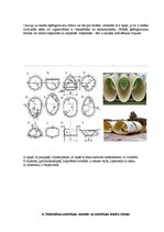 Referāts 'Ūdensapgāde un kanalizācija', 10.