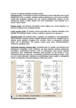 Referāts 'Ūdensapgāde un kanalizācija', 11.