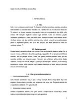 Referāts 'Zobu protezēšana', 6.